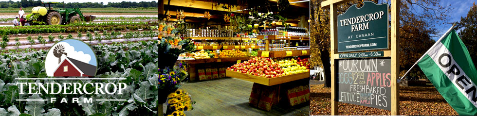 Tendercrop Farm — our farm stand and fields