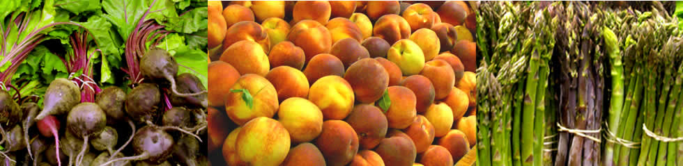 Fresh produce at Tendercrop Farm